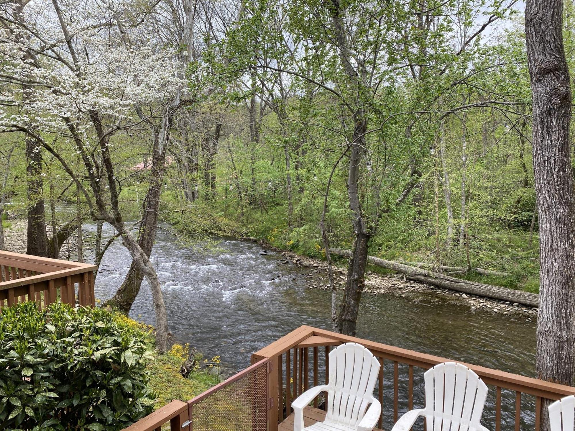 Gray'S Place On Cosby Creek - 2 Bedrooms, 2 Baths, Sleeps 6 Home Luaran gambar